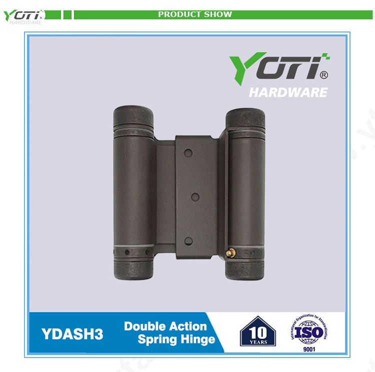 YDASH3 Double Action Spring Hinge